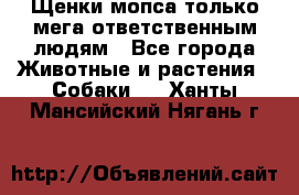 Щенки мопса только мега-ответственным людям - Все города Животные и растения » Собаки   . Ханты-Мансийский,Нягань г.